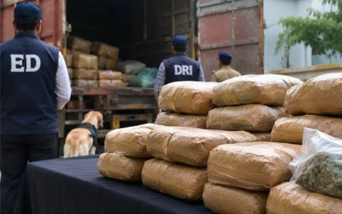 237kg Ganja Case: Four Convicted in Lucknow PMLA Proceedings